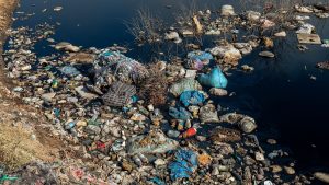 Plastic waste accumulated along a riverbank