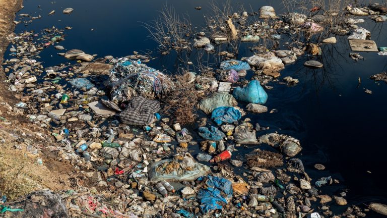 Plastic waste accumulated along a riverbank