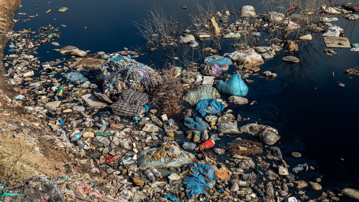Plastic waste accumulated along a riverbank