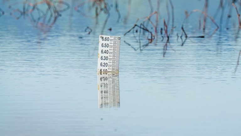 A water-level gauge standing in coastal floodwater