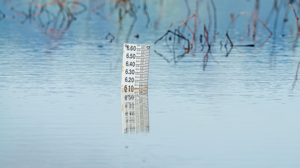A water-level gauge standing in coastal floodwater