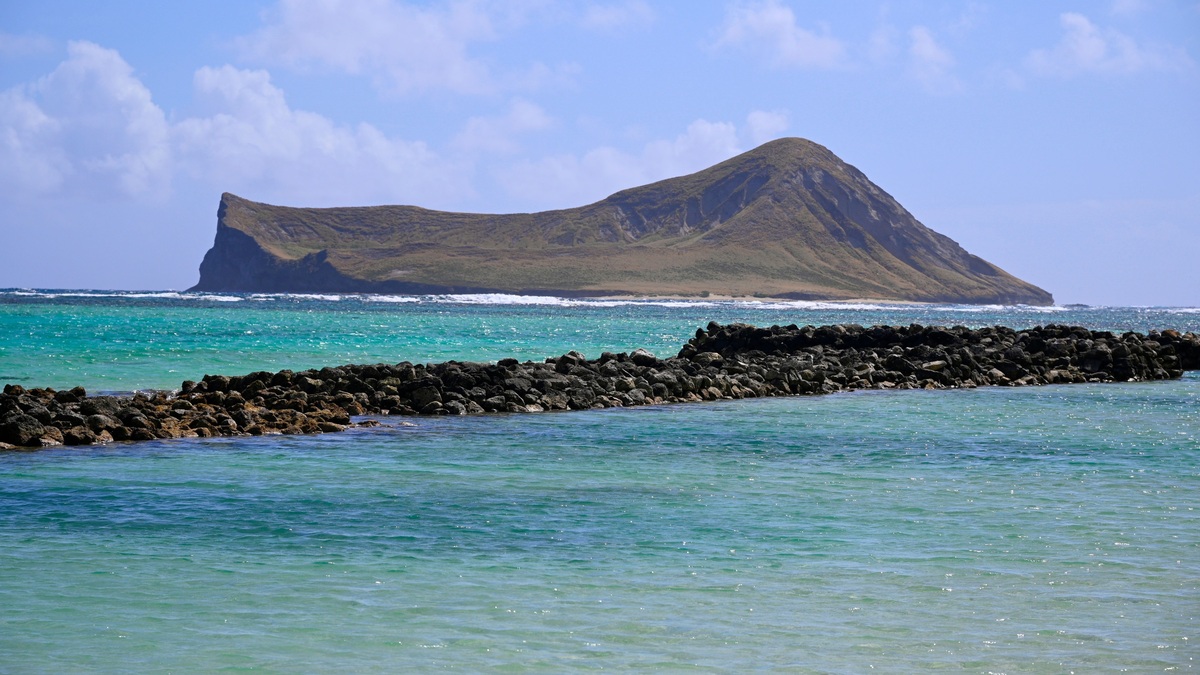 Lush_mountain_coast_exposed_to_ocean_winds