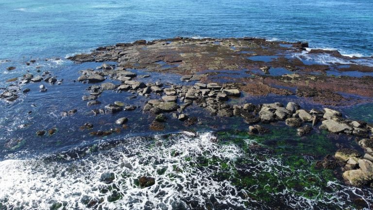 Rocky_shore_exposed_between_daily_tides