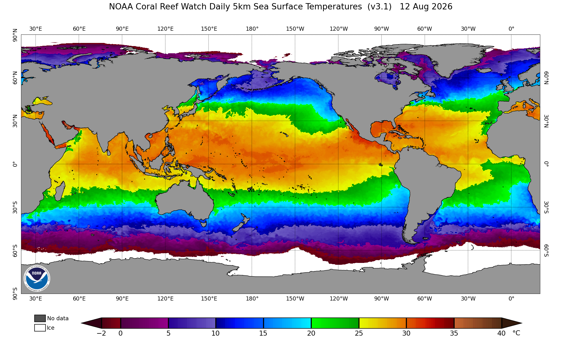 NOAA daily global sea surface temperature
